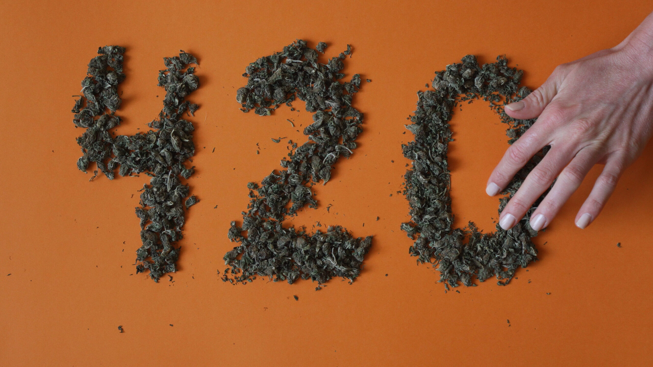 What is 420? History of Cannabis Culture
