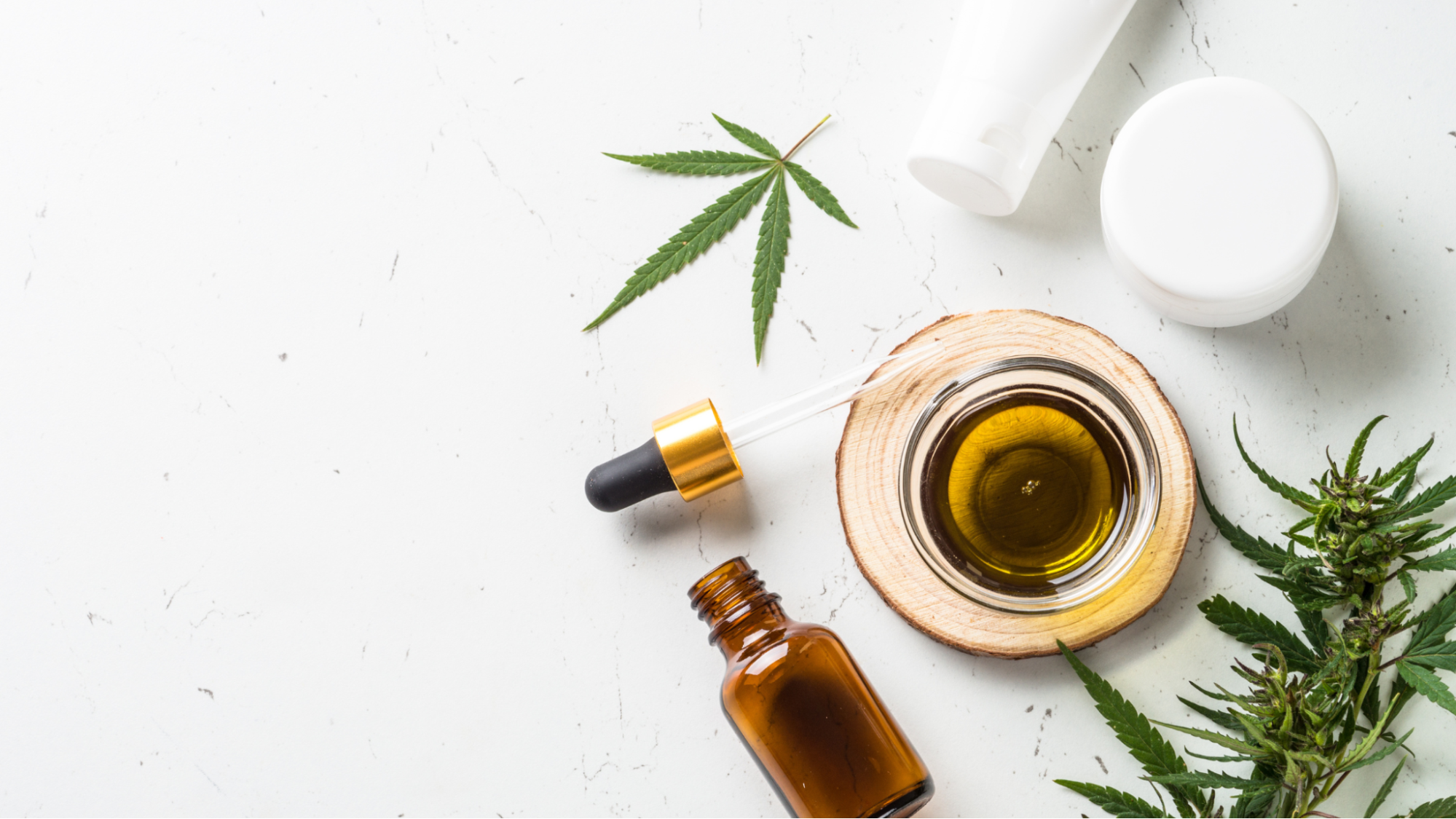Cannabinoid Education 101